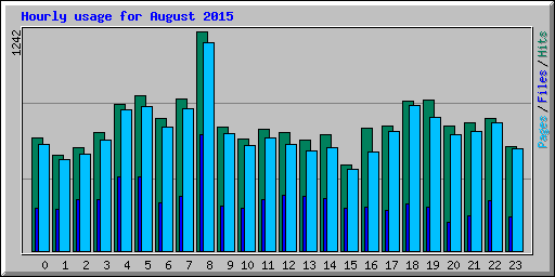 Hourly usage for August 2015
